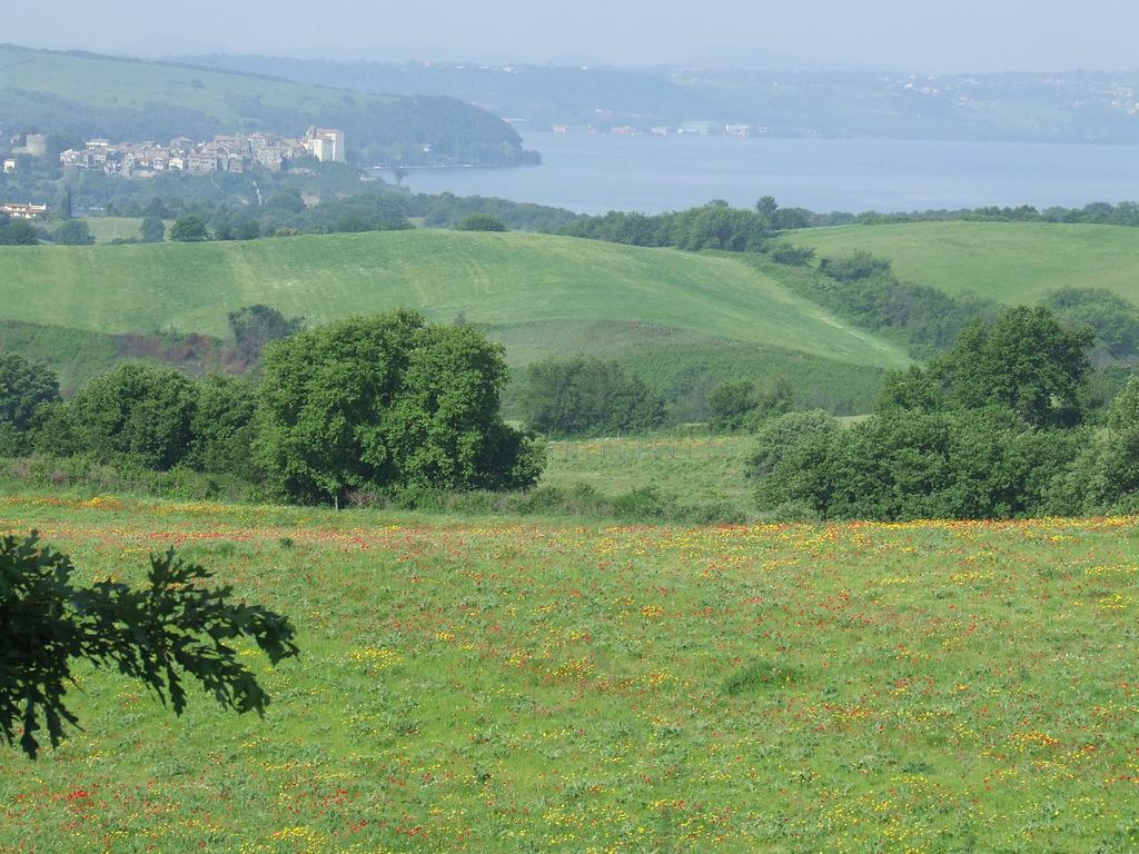 Country Relais I Due Laghi Villa Anguillara Sabazia Eksteriør billede
